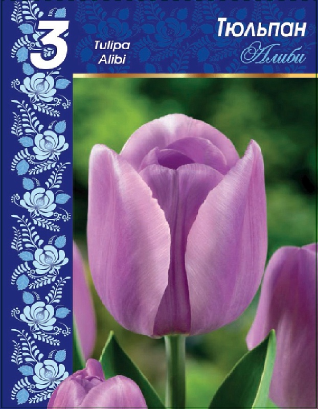 Тюльпан Алиби 1 уп.(3шт.) 